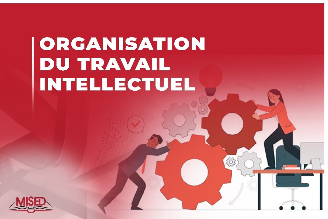 ORGANISATION DU TRAVAIL INTELLECTUEL